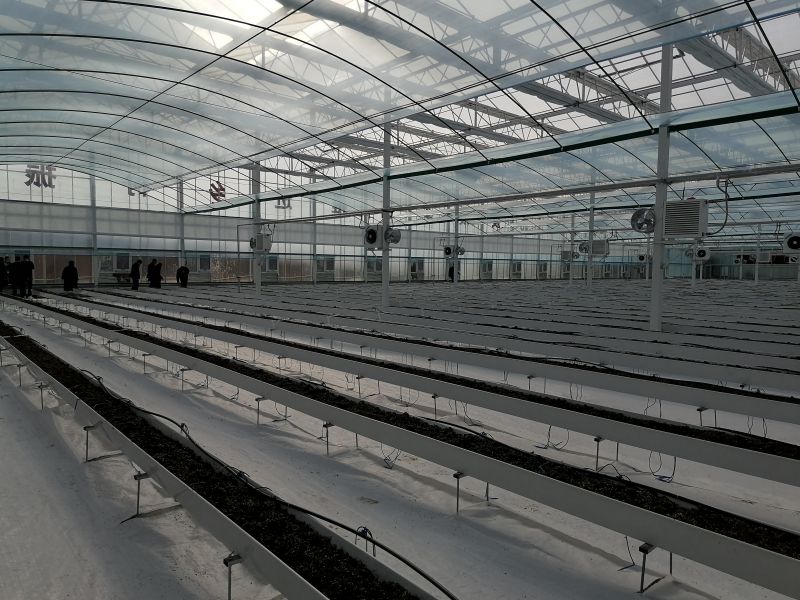 智慧农业水肥一体化的应用现状